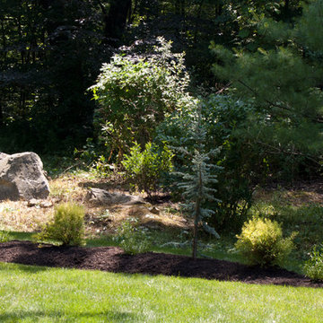 New landscape design and install in Natick