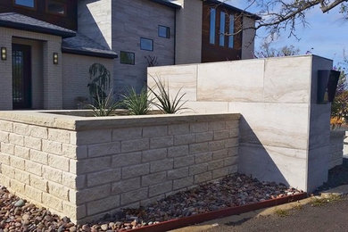 This is an example of a mid-sized contemporary front yard landscaping in Dallas.