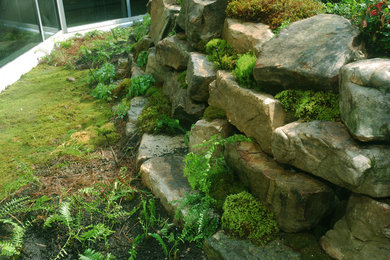ローリーにあるトラディショナルスタイルのおしゃれな庭の写真
