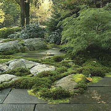 New York Plantings Landscape Designs