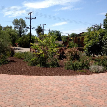 Newly paved circular driveway
