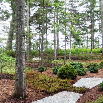 Newly planted dwarf conifers intersect planted rays of native woodland ground co