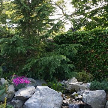 Newport Samurai Garden/ Stream Source