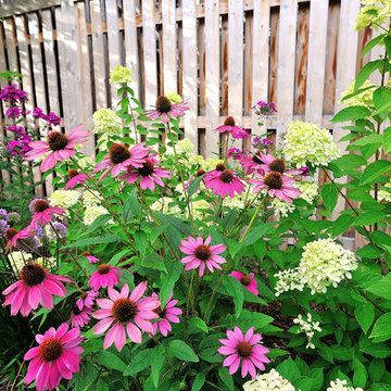 Newton, MA Landscape Renovation