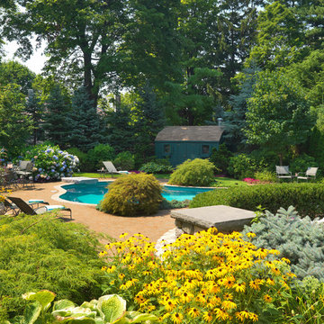 Newton Pool