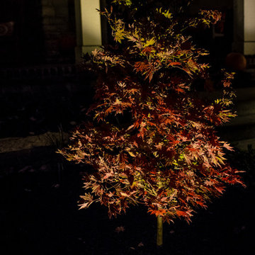 Nighttime Nuance with Landscape Lighting