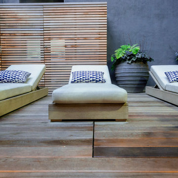 Nolita Common Space - Close-Up of Day Beds