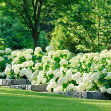 Outdoor landscaping