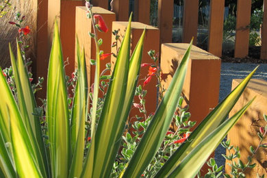 Foto de jardín de secano actual de tamaño medio en patio delantero con exposición total al sol y adoquines de hormigón