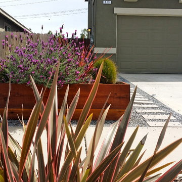 North Chico Residence - Interior Design and Landscape Design in Progress