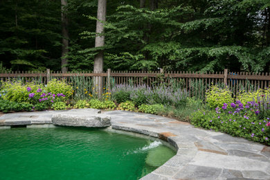 This is an example of a mid-sized contemporary drought-tolerant and full sun backyard stone flower bed in New York.
