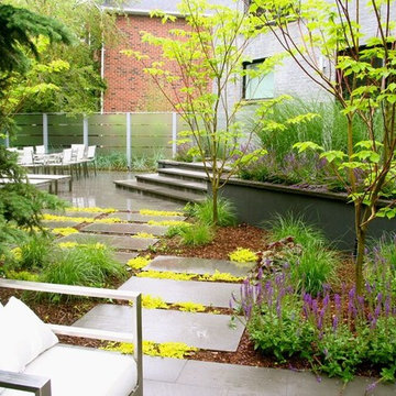 North York - Contemporary Urban RetreatToronto landscaping