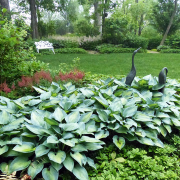 Northbrook Illinois Shade Garden in June