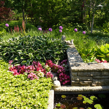 Northbrook Illinois Shade Garden in June