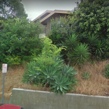 Northeast LA Hillside Home Landscape