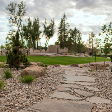 Northern Colorado Landscape Redesign