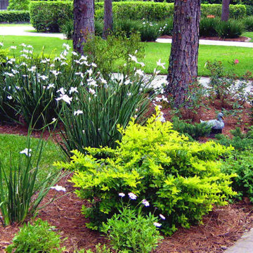 Northern-inspired Landscape Design for Tampa, FL