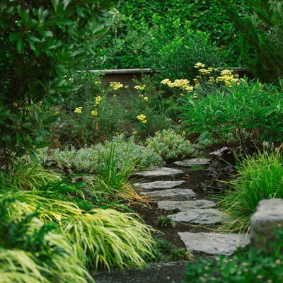 Design ideas for a contemporary landscaping in New York.
