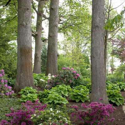 Design ideas for a large traditional shade backyard stone walkway in Chicago for summer.
