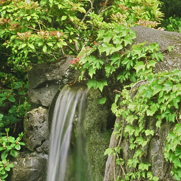 Northwest Waterfall Garden