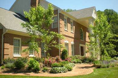 ワシントンD.C.にあるお手頃価格の広いコンテンポラリースタイルのおしゃれな前庭 (庭への小道、日向) の写真