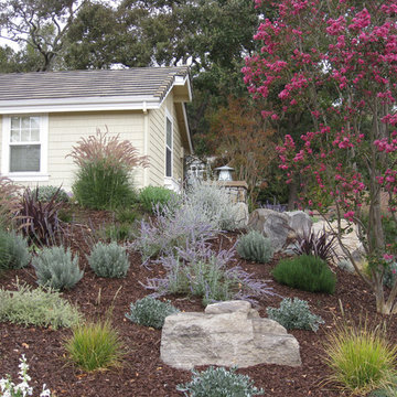 Novato Mediterranean Front Hillside Garden