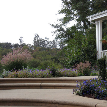 Novato Mediterranean Front Hillside Garden