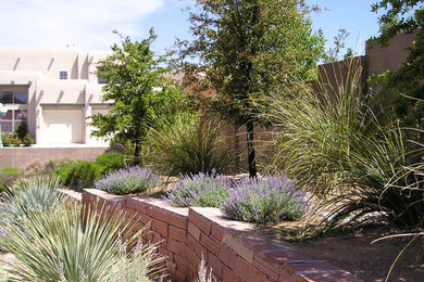 Design ideas for a mediterranean landscaping in Albuquerque.