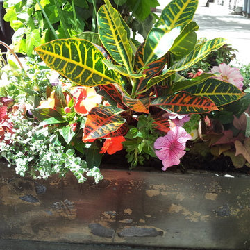 NYC flower boxes for windows, cafe's or restaurants BY NY Plantings Garden Desig