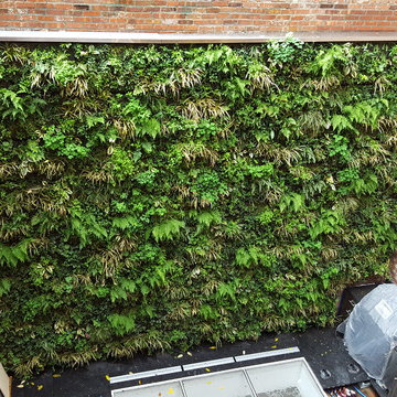 NYC Living Wall & Green Roof Project