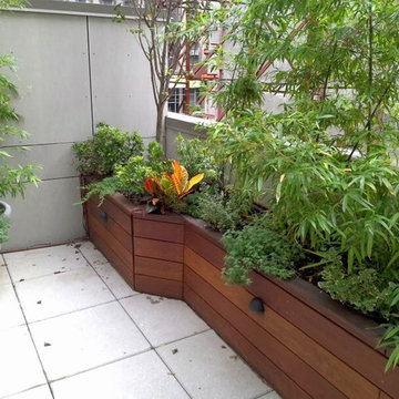 NYC Rooftop Garden with LED lights and Irrigation system