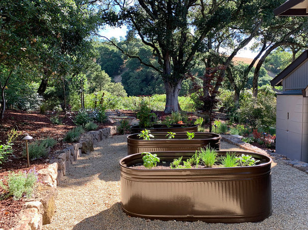Modern Garten by Dig Your Garden Landscape Design