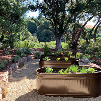 Design ideas for a huge contemporary drought-tolerant and partial sun side yard gravel landscaping in San Francisco for summer.