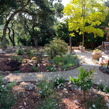 Oak Tree Setting With Hillside Views, Landscape Renovation, Northern California