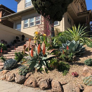 Oakland Succulent Slope Garden