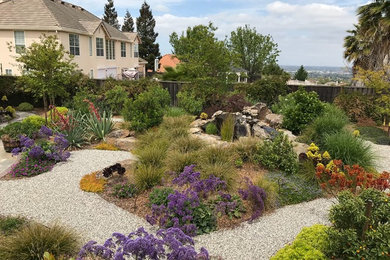 Inspiration for a traditional landscaping in San Francisco.