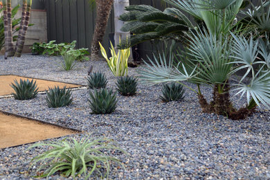 Ejemplo de jardín de secano de estilo americano de tamaño medio en patio trasero con paisajismo estilo desértico, exposición parcial al sol y piedra decorativa