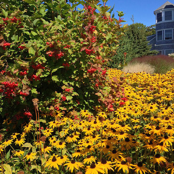 Oceanfront Landscape