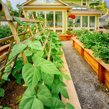 Container garden