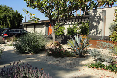 This is an example of a mid-sized mid-century modern drought-tolerant and shade front yard gravel garden path in Orange County for spring.