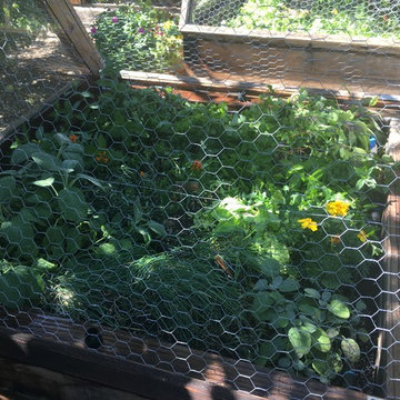 Organic Edible Gardens