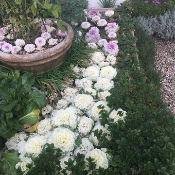 Organic Edible Gardens