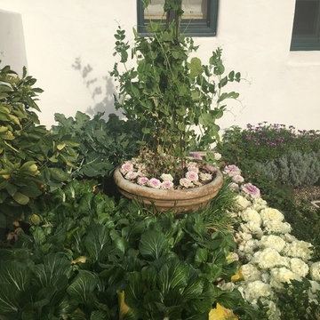 Organic Edible Gardens