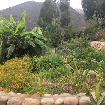 Organic Edible Gardens
