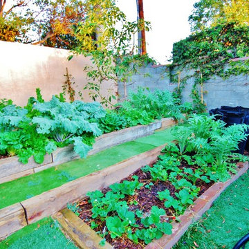 Organic Gardens