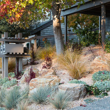 Back Zen Garden