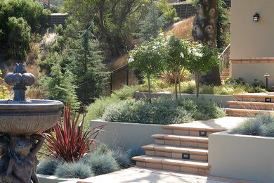 This is an example of a mediterranean landscaping in San Francisco.