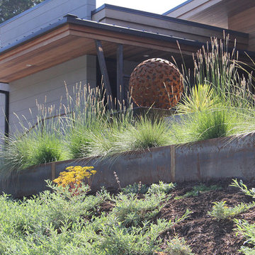 Orinda Modern Landscape