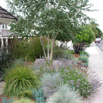 Orinda Rustic Entryway