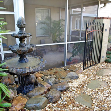 Orlando Florida Poolside Landscape